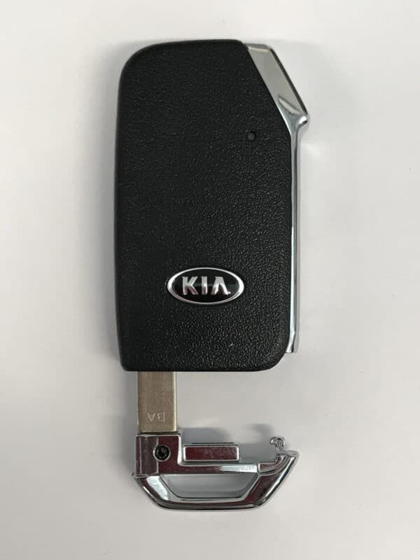 Keyless Protector Lite - obrazek 2